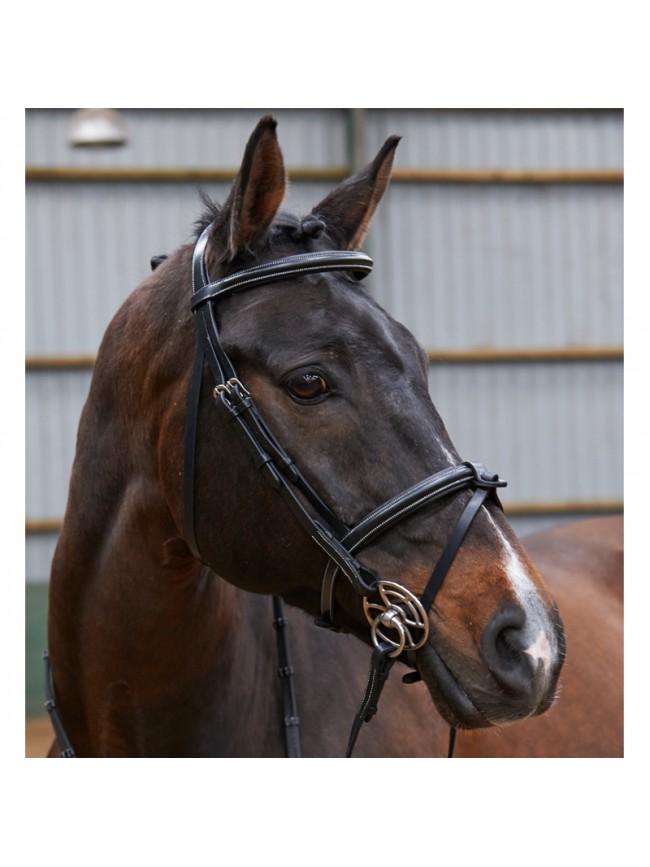 BR051A - Eastwood Raised Flash Bridle With Reins
